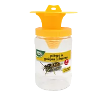 Piège à guêpes et frelons
