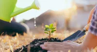 Over ons - plantenverzorging