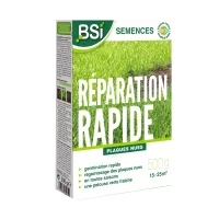 Réparation Rapide - 500 g