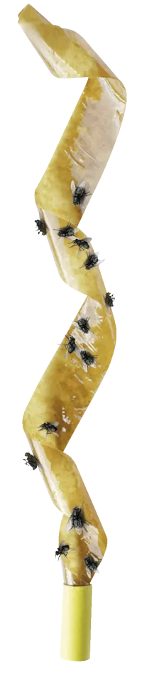90802-ae_c1n0