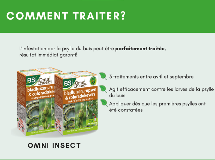 Comment traiter? BSI omni-insect
